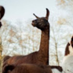 Meet your Posher, Chloe